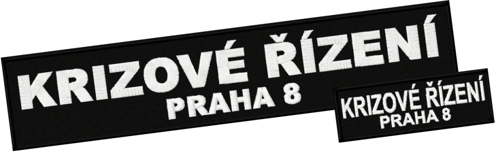 Krizové řízení