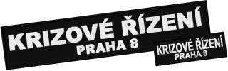Krizové řízení